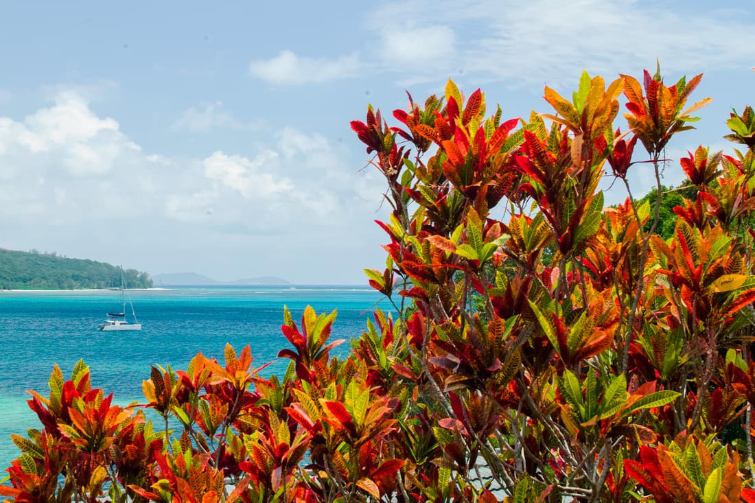 Colibri Guest House