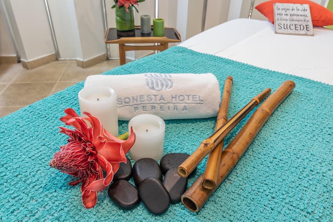 Sonesta Hotel Pereira