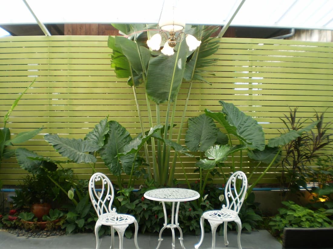 Puri Piman Chiang Mai
