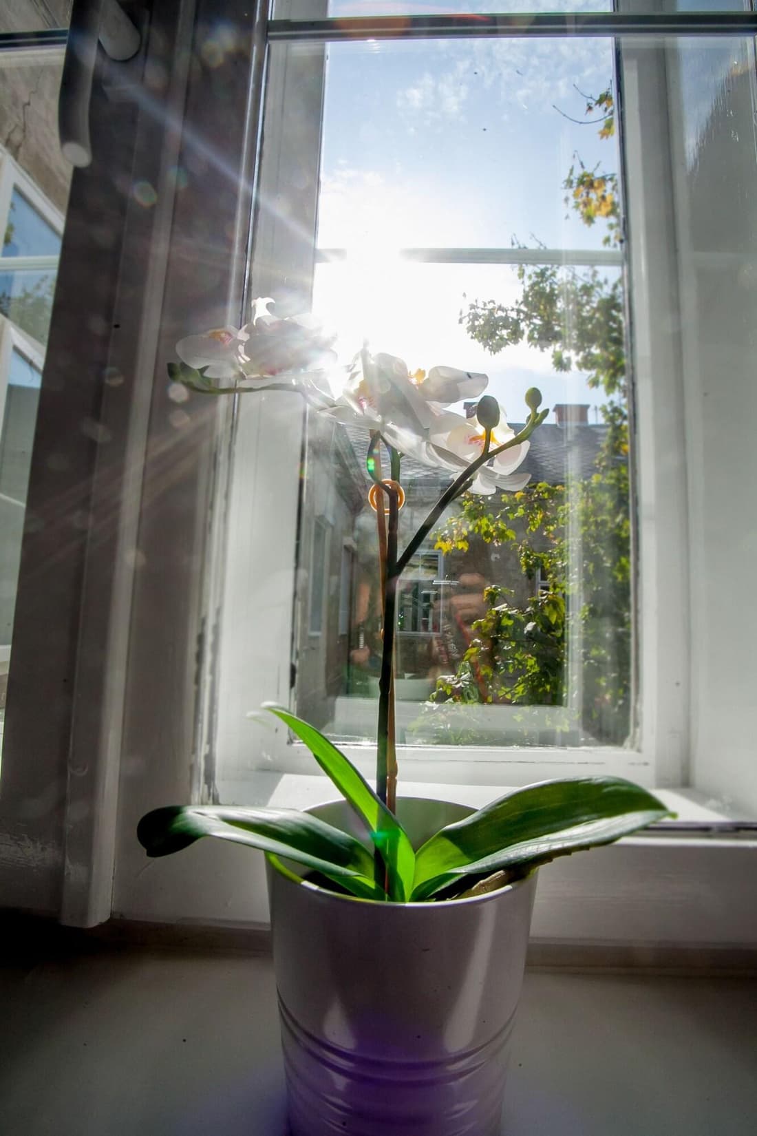Zagreb City Vibe Apartments Rooms
