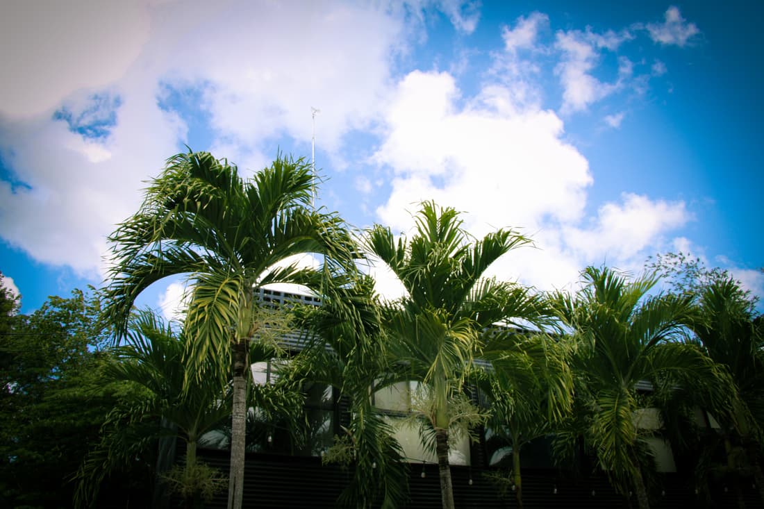 Urban Bacalar Hotel By MIJ
