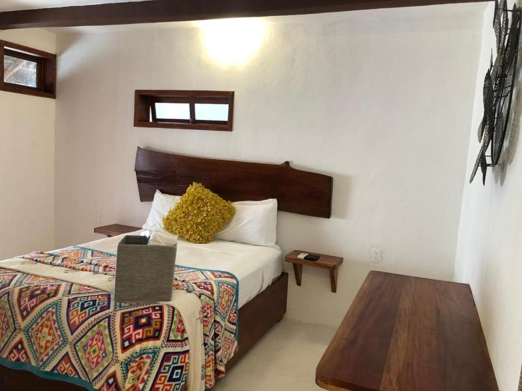 Mittoz Holbox