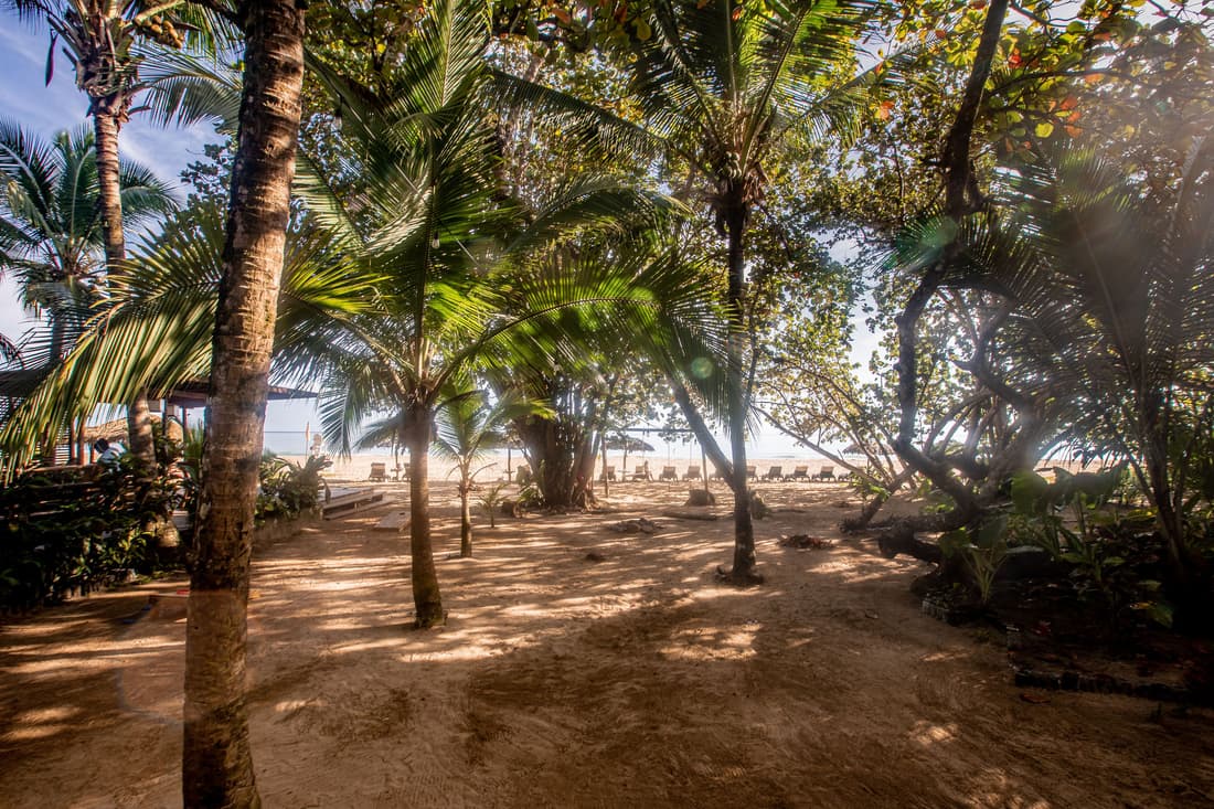 Palmar Beach Lodge