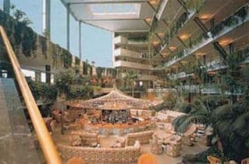OCCIDENTAL OASIS ALLEGRO