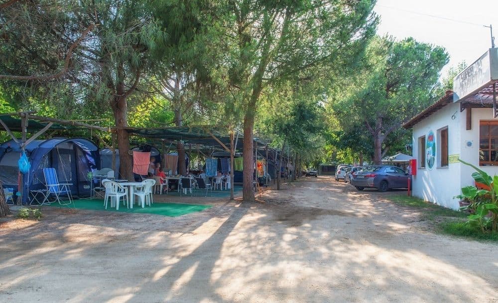 CAMPING  PITSONI