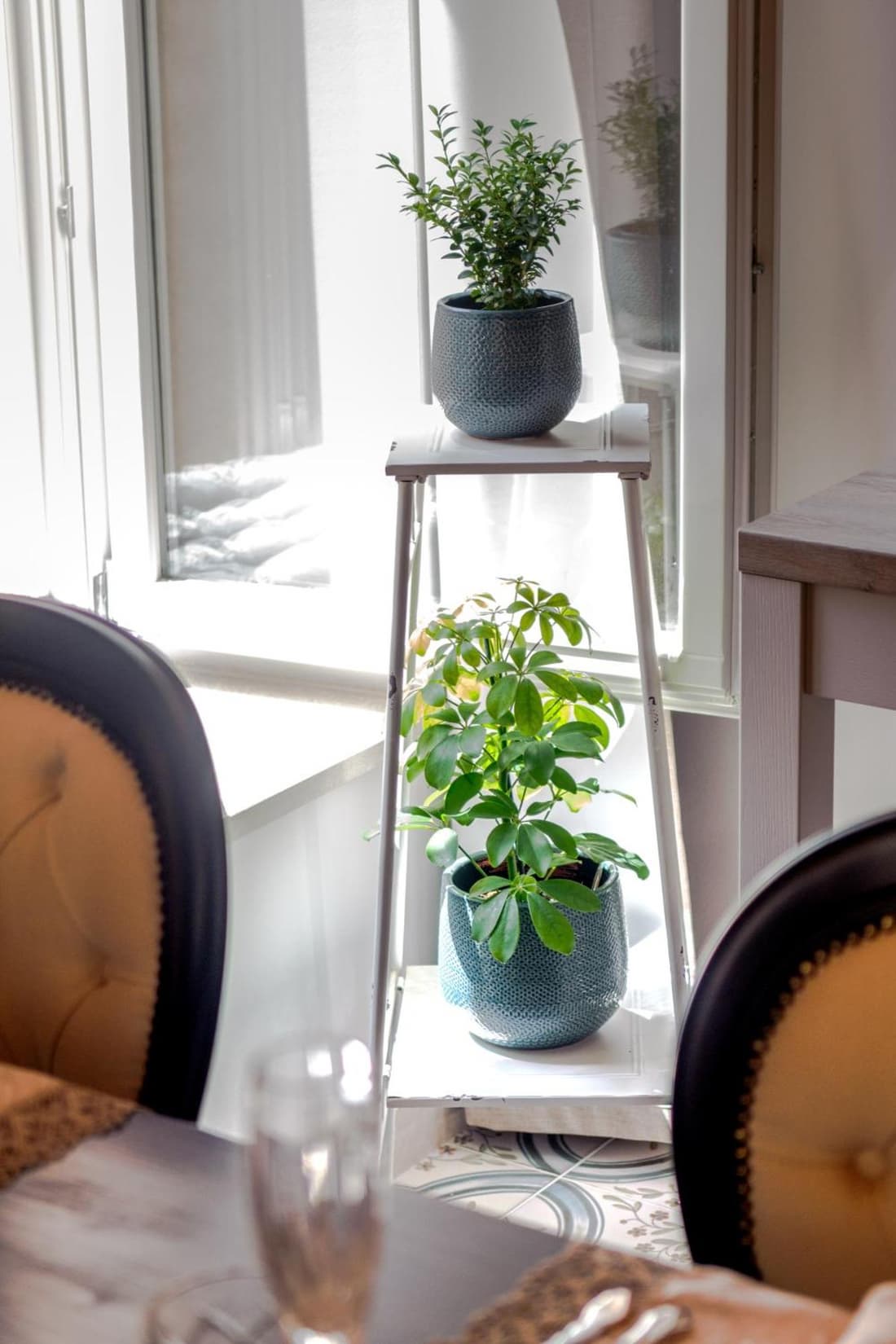 Heritage suites Zanini
