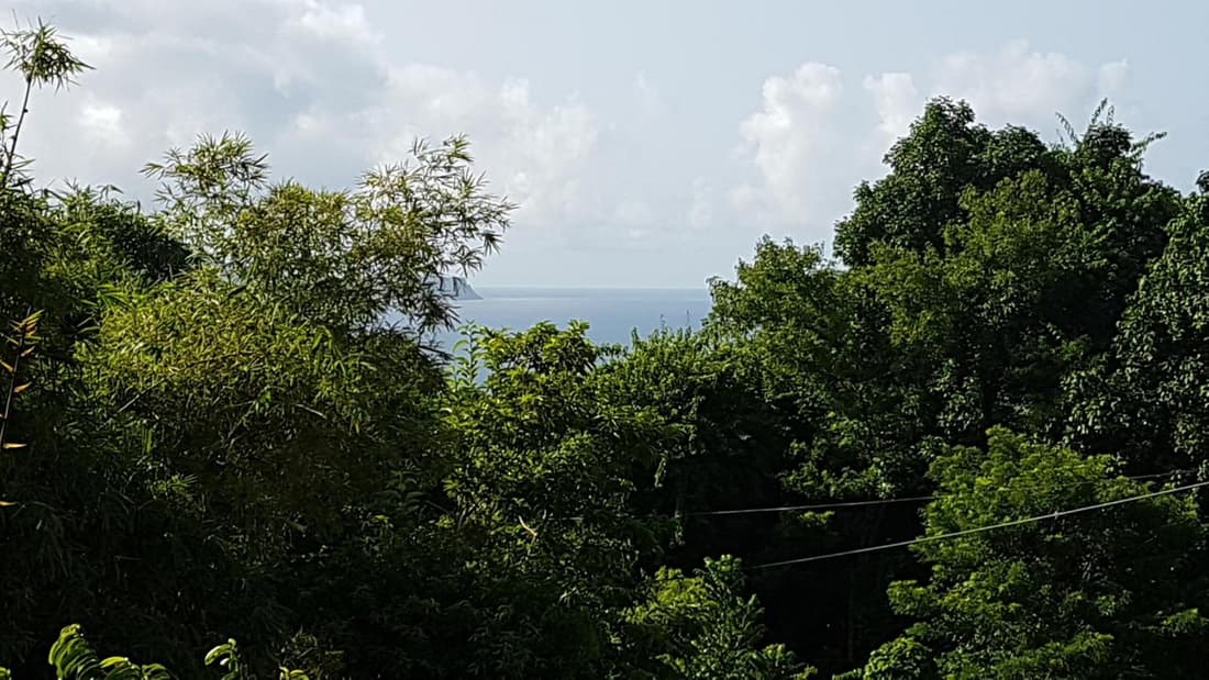 Haut De Villa Corossolier