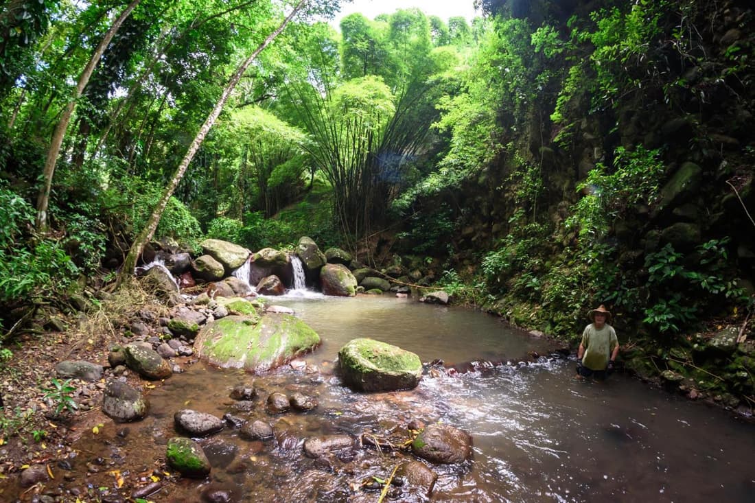 Martinique Treehouse