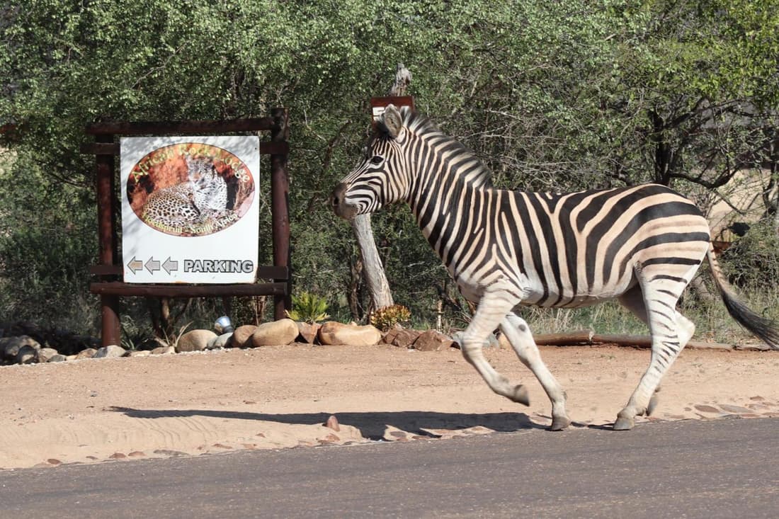 B&B African Rock Lodge