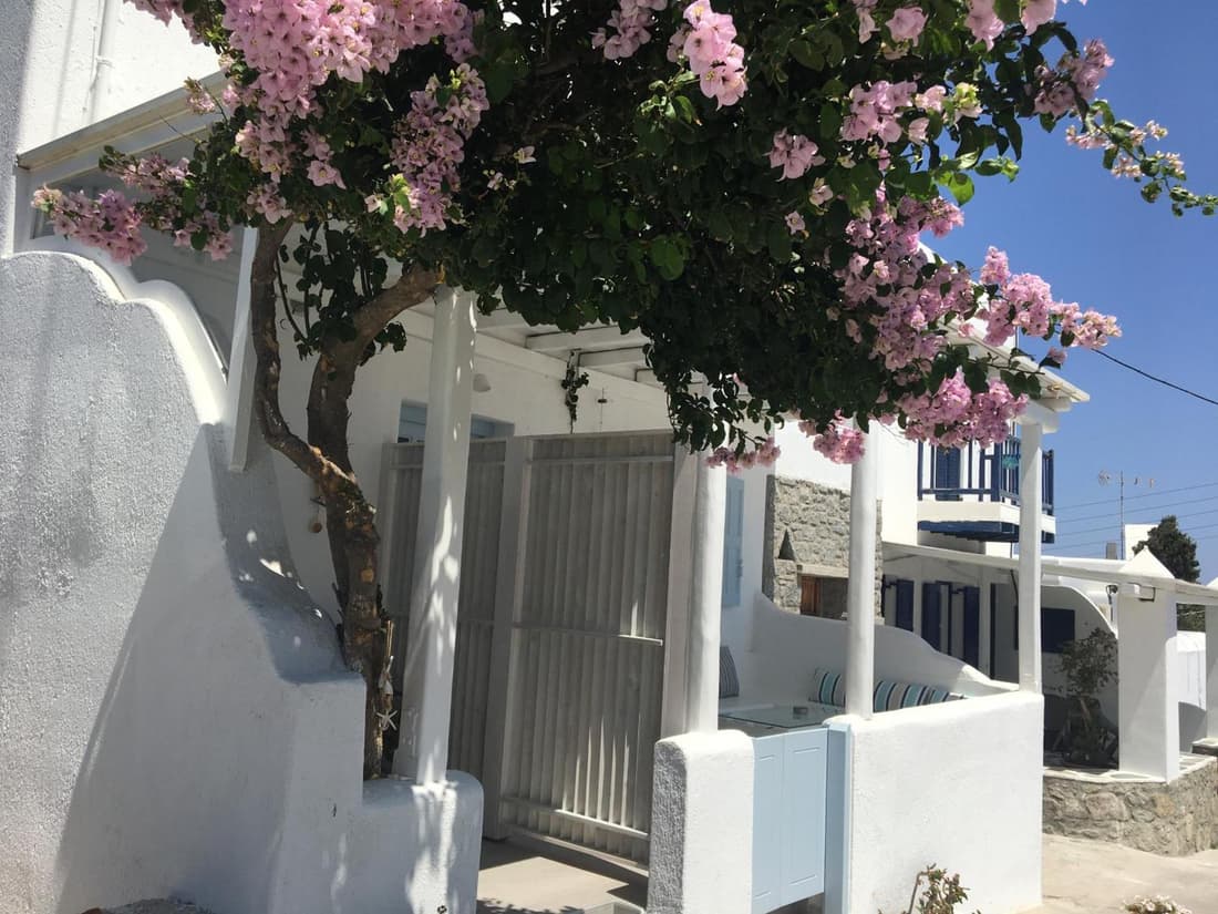 Mina Studios