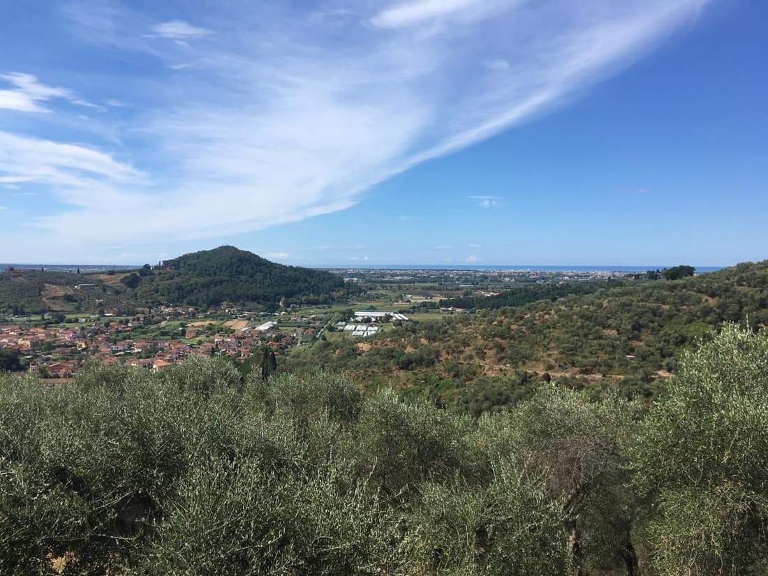 Azienda agricola e Caravan della Mezzaluna