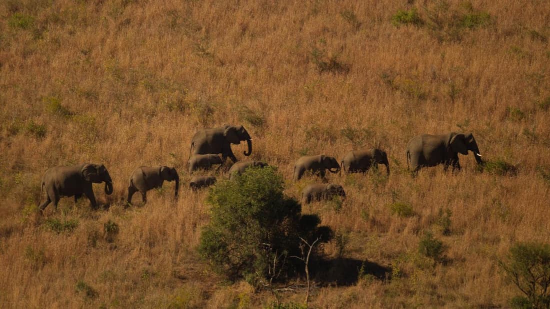 Kwalucia Private Safari Retreat