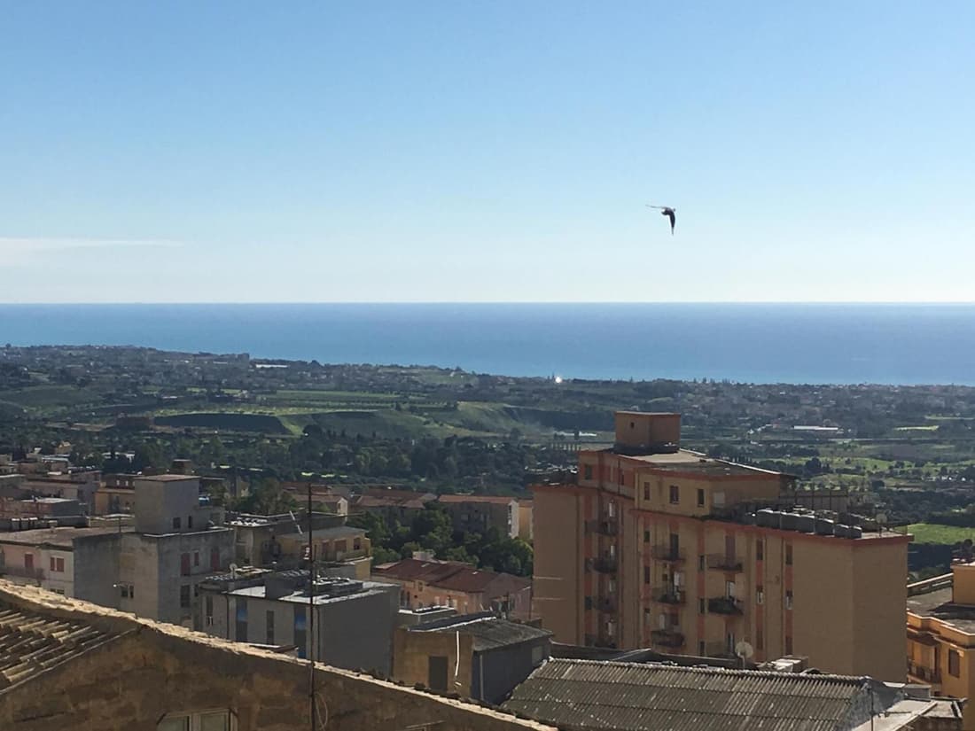 LA TERRAZZA SUL CORSO City Center