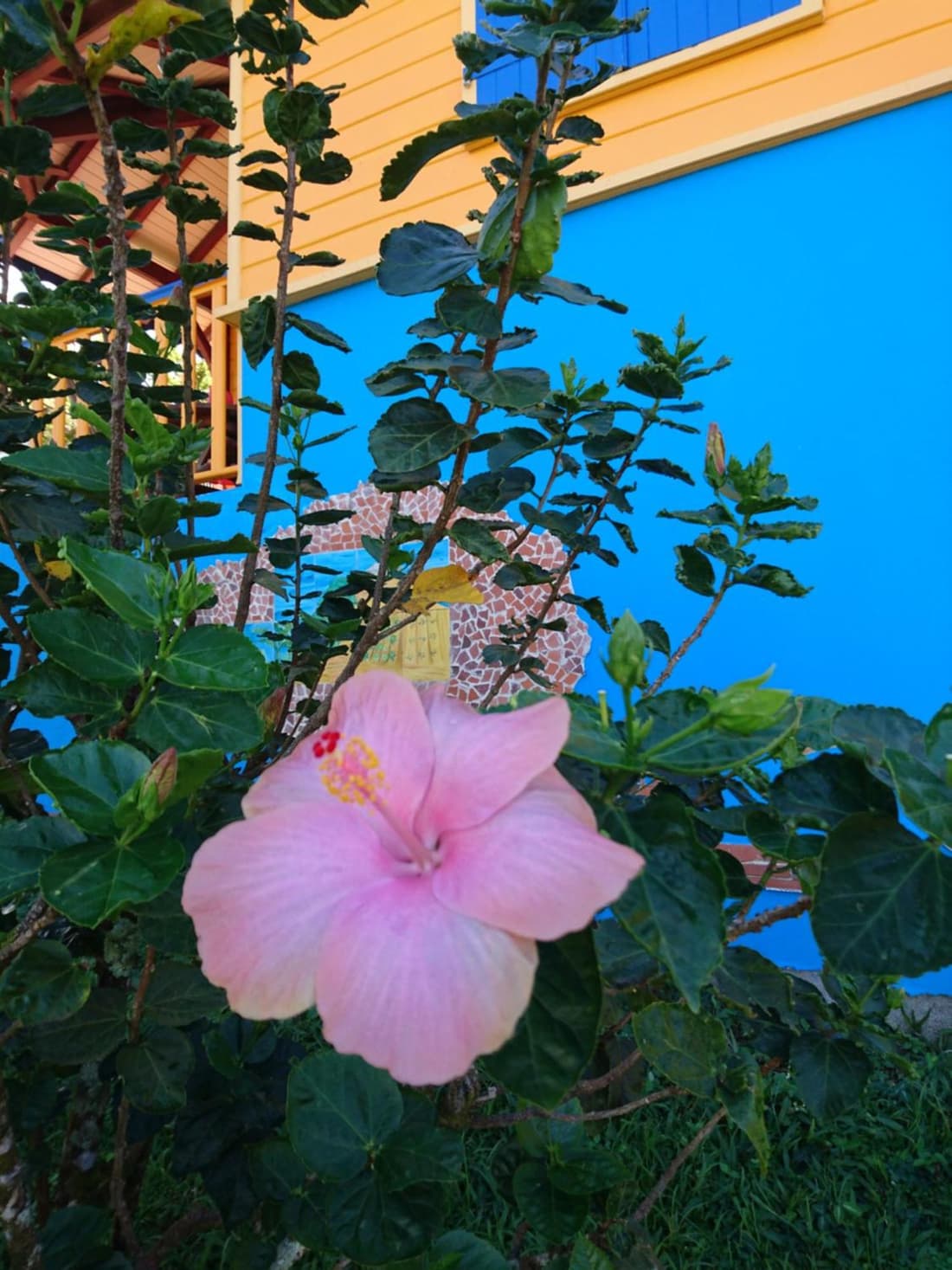 Le Hameau du Morne des Cadets