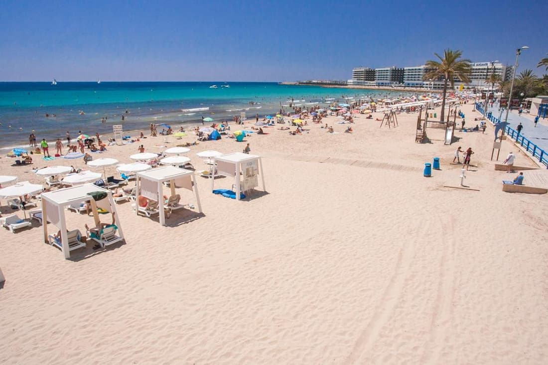 LARGE Apartment with large and sunny Terrace - Garden , ALICANTE CENTER