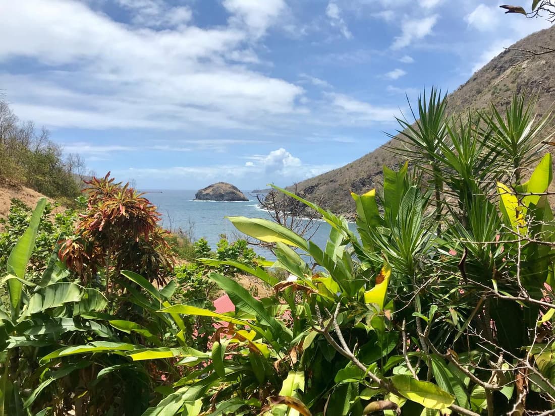 Villa Figues et Mangos