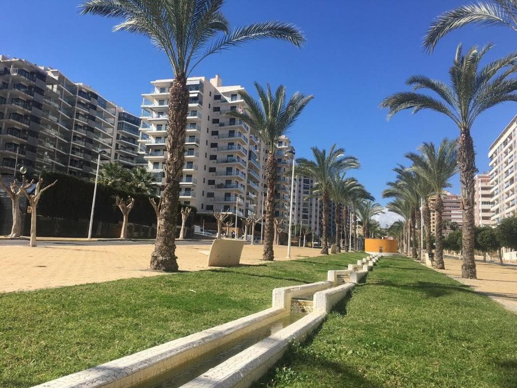 Cala de Benidorm Holidays