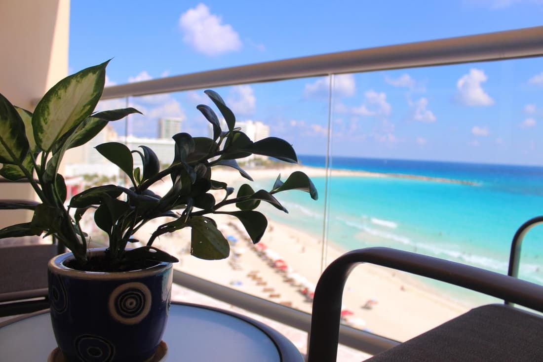 Oceanside Studio - Stunning Views, Ideal Location