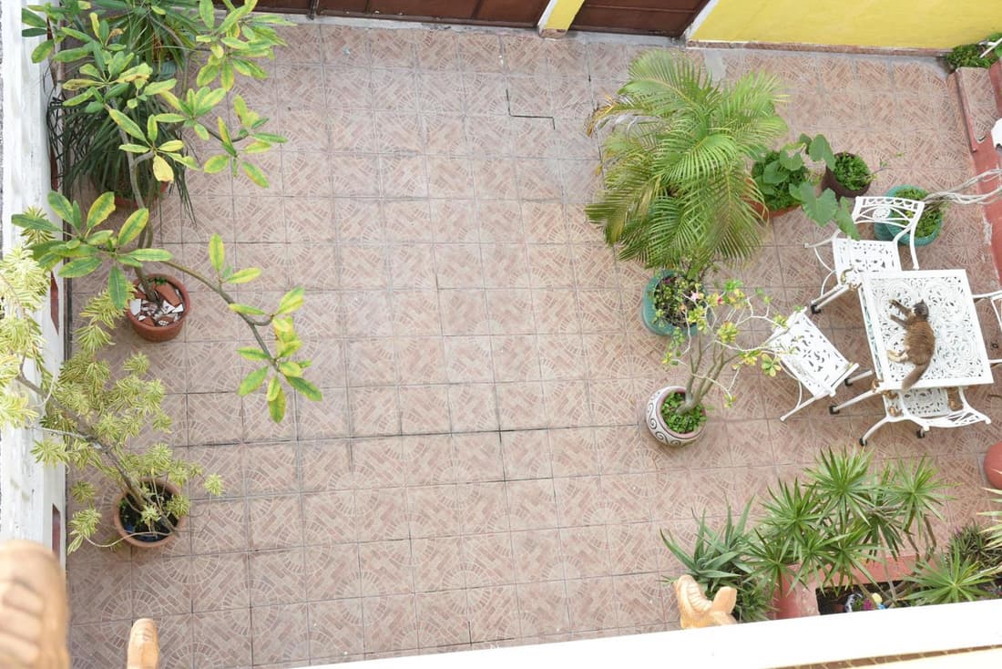 Cancun Guest House 6