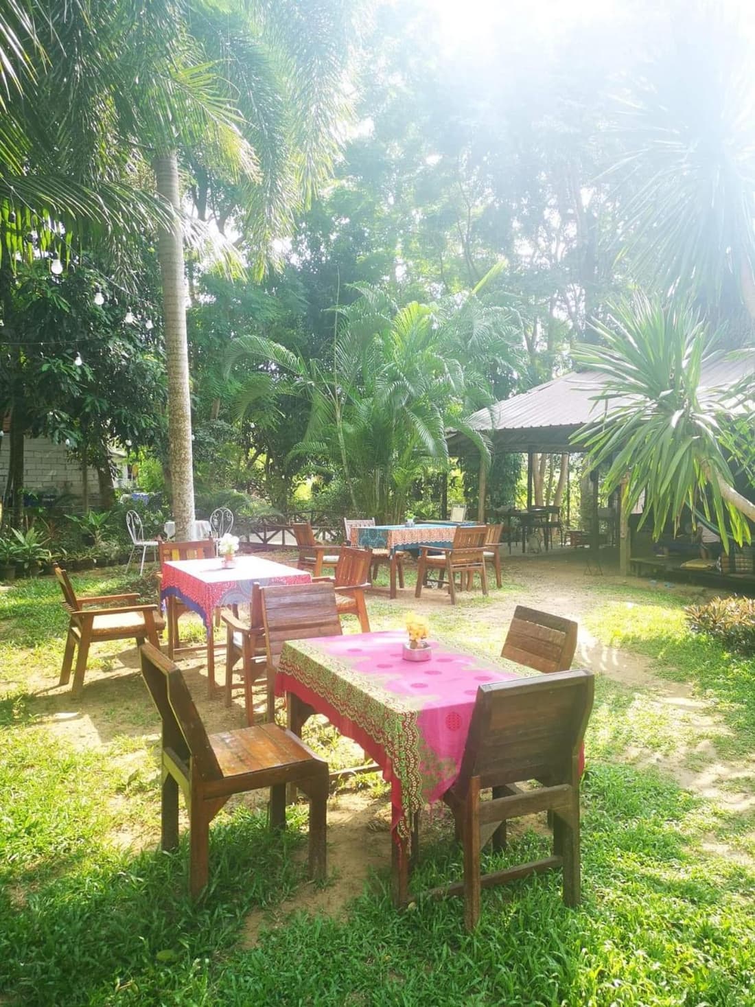 Jungle Garden