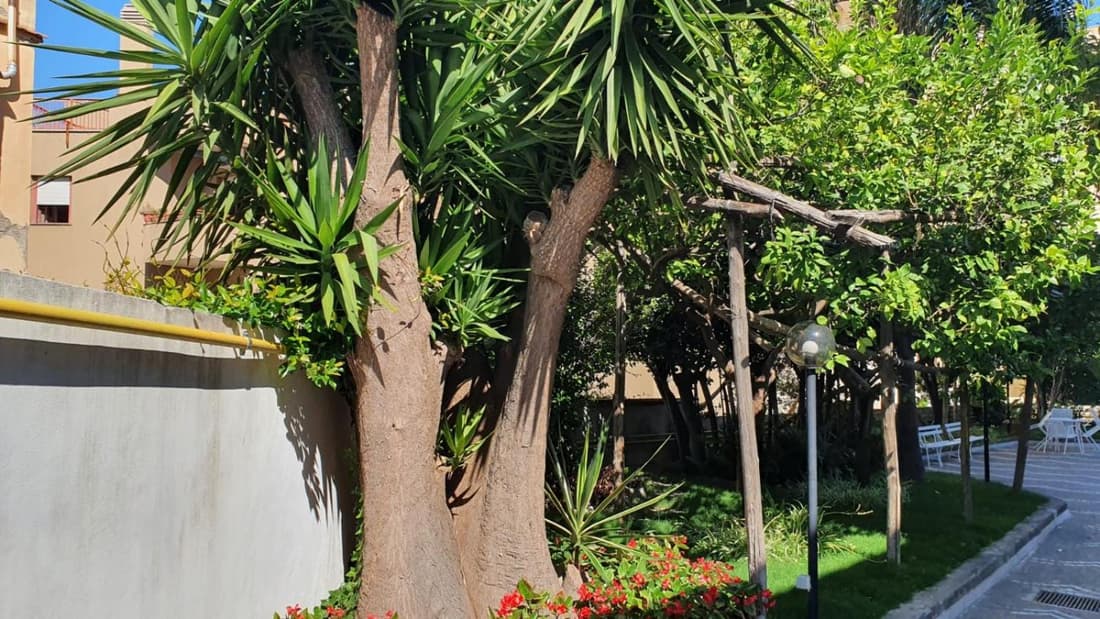 Maria Maddalena Holiday House