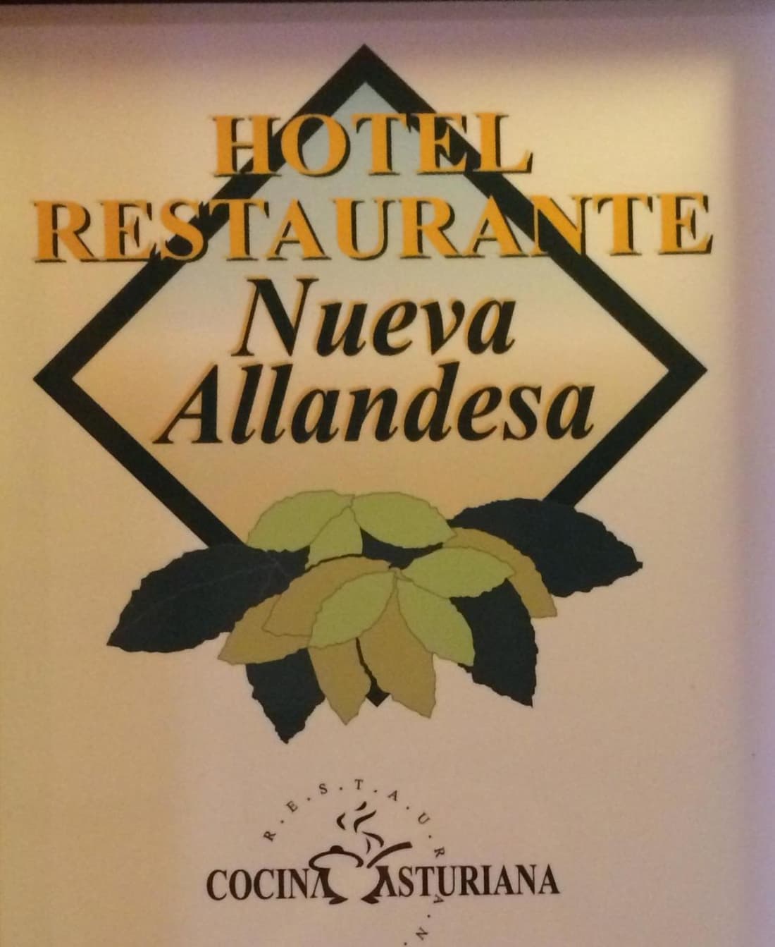 Hotel Nueva Allandesa