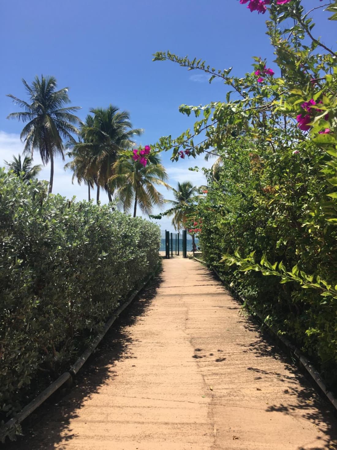 Studio vue mer Le Gosier sans coupure d'eau