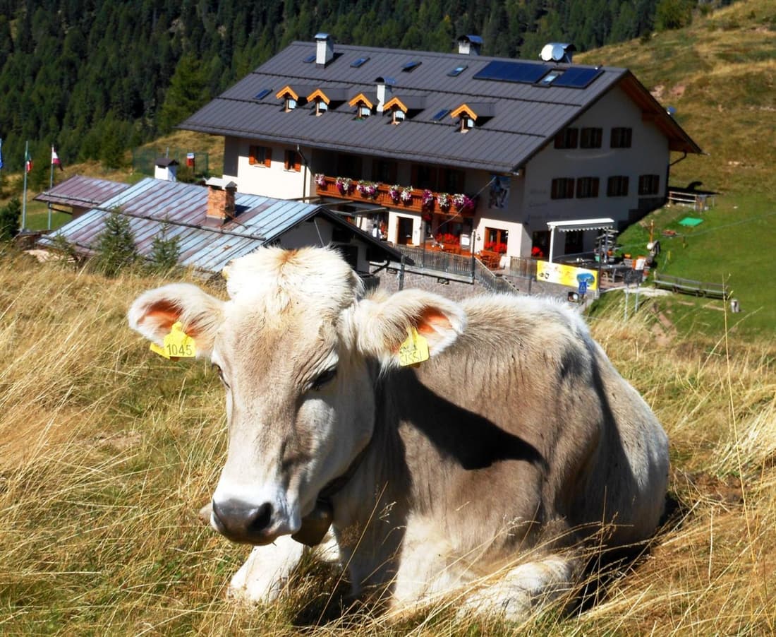 Rifugio Capanna Passo Valles