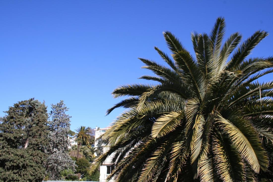 Résidence La Villa Léonie