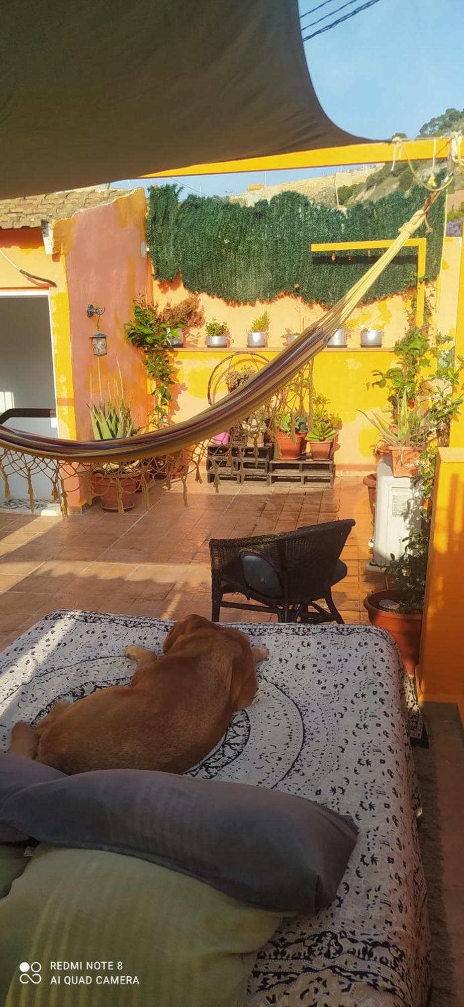 La Casita de Celia