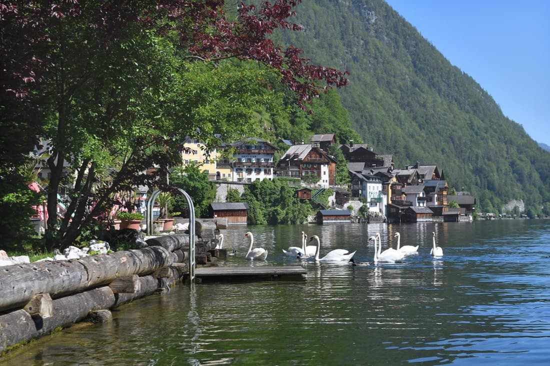 Gasthof Simony Hallstatt B&B