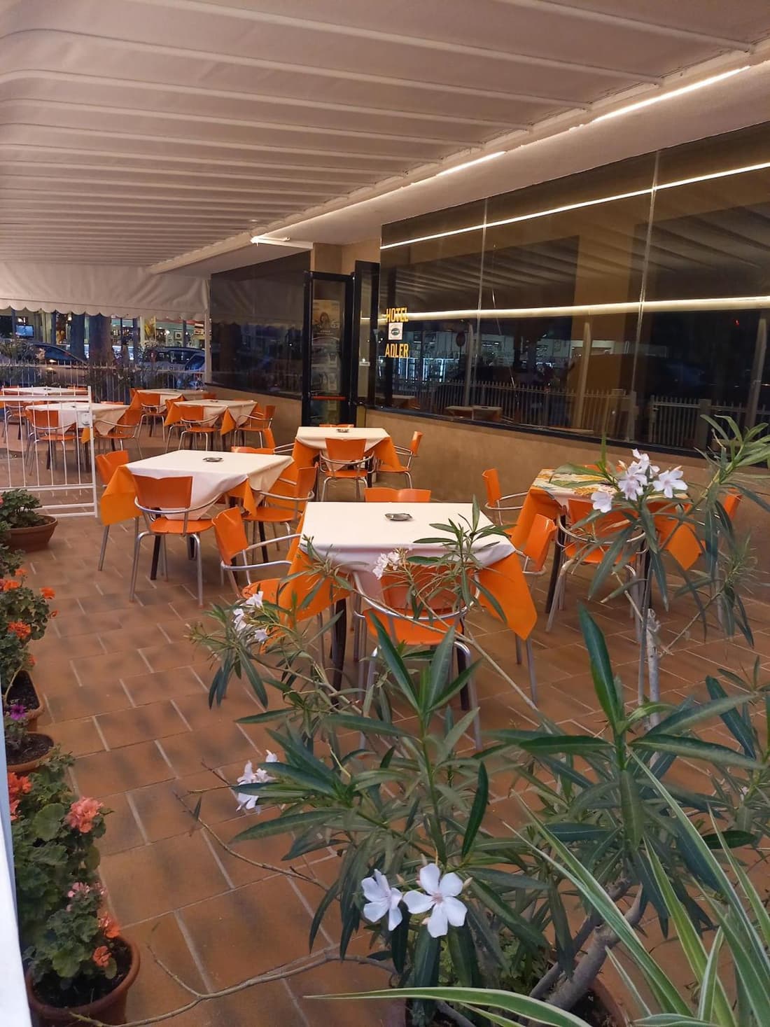 Hotel Adler
