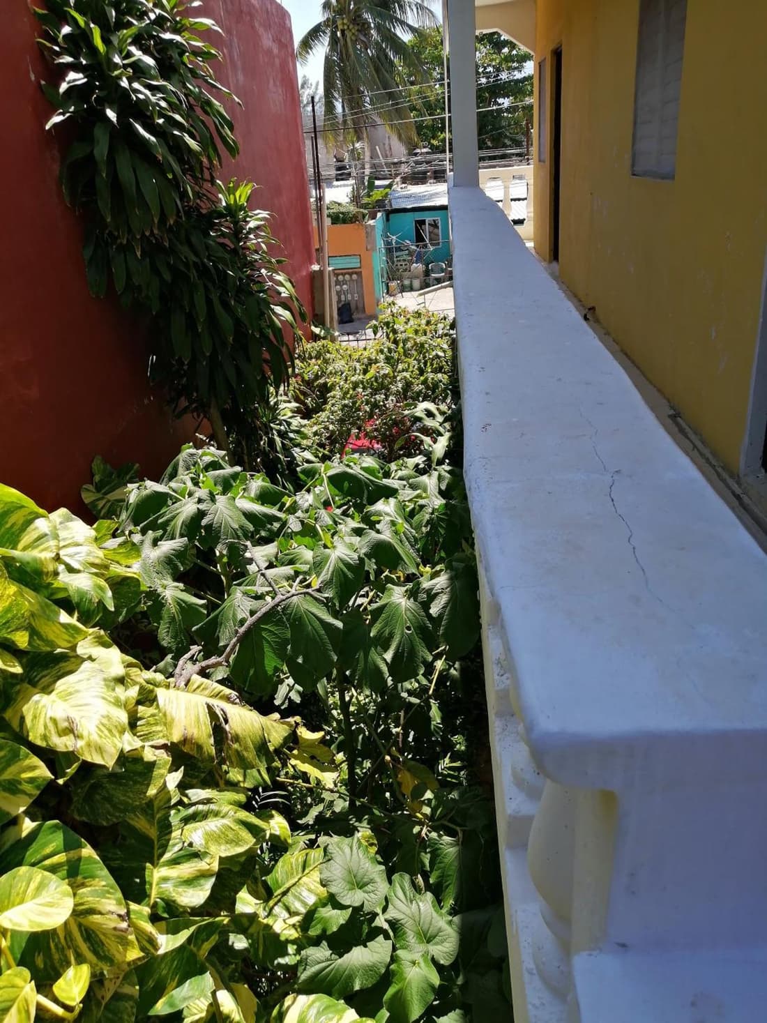 Tucán