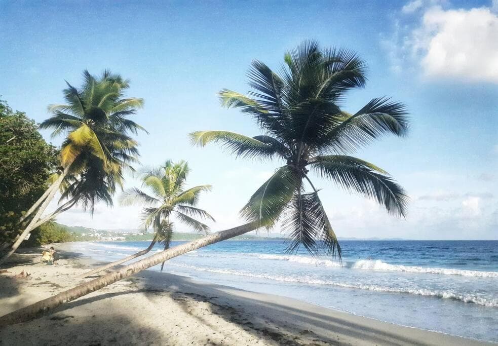 Superbe studio, à 20 mètres de la plage, accès direct Grande Plage Diamant