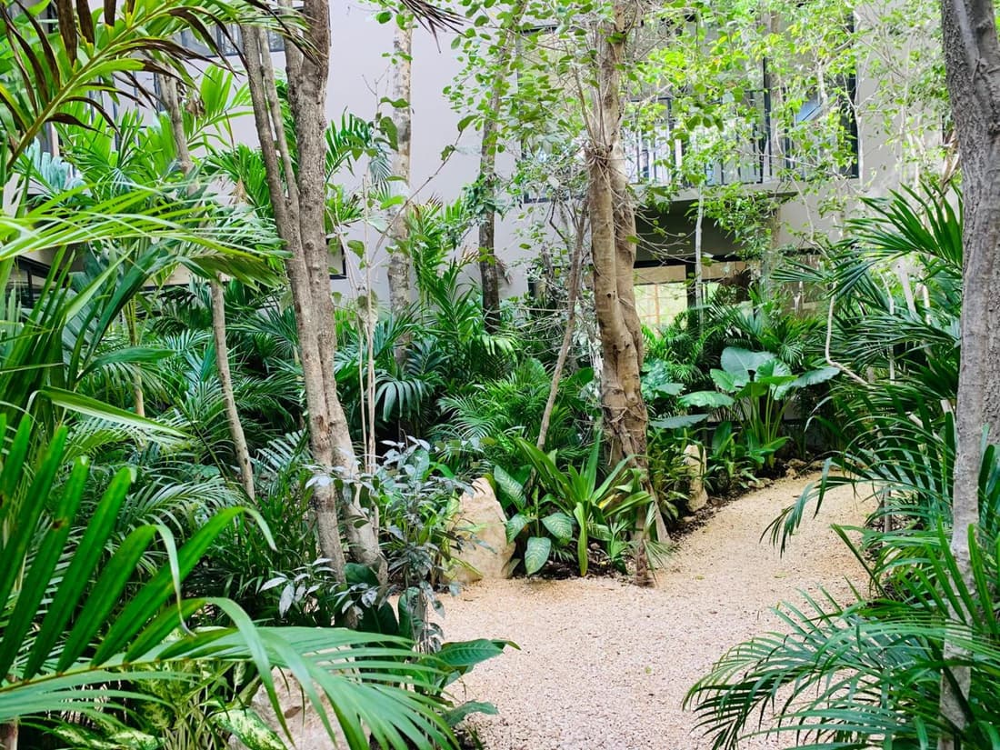 Vida Jungle Apart 1 with special fee to access Hotel Bardo