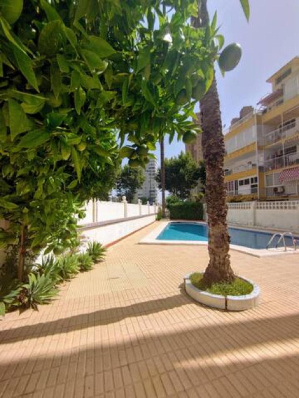 BENIDORM ROCAS ONE, un oasis a 100 metros del mar
