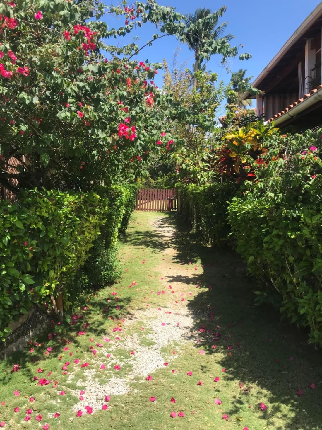 La Cortesana Cozy Apt Steps to the Beach