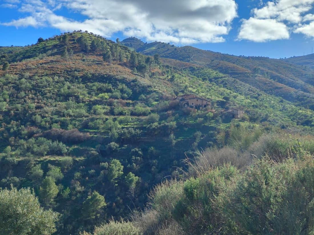 Cortijo Vacas Gordas Villas