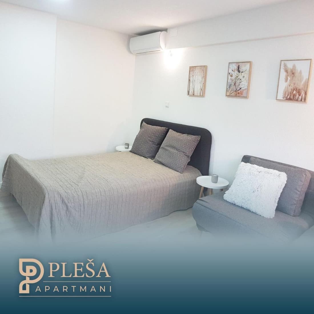 Apartment Pleša