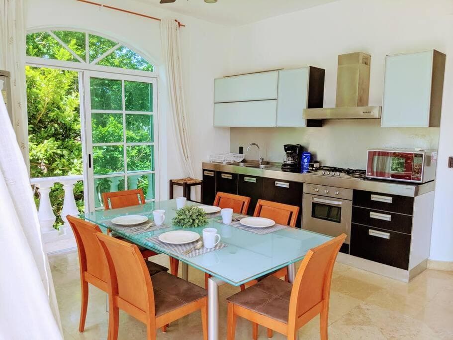 3br PHouse Rooftop terrace with plunge pool and ocean view walk to beach 5th ave and Cozumel Ferry