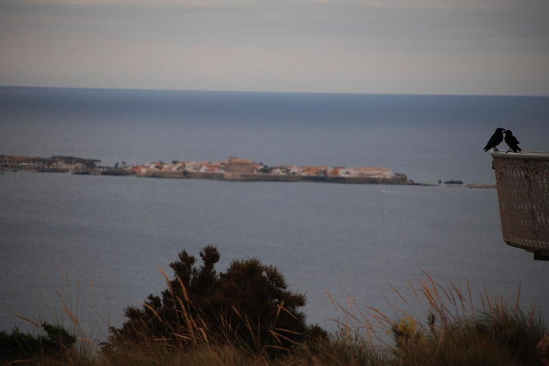 Vicino al mare