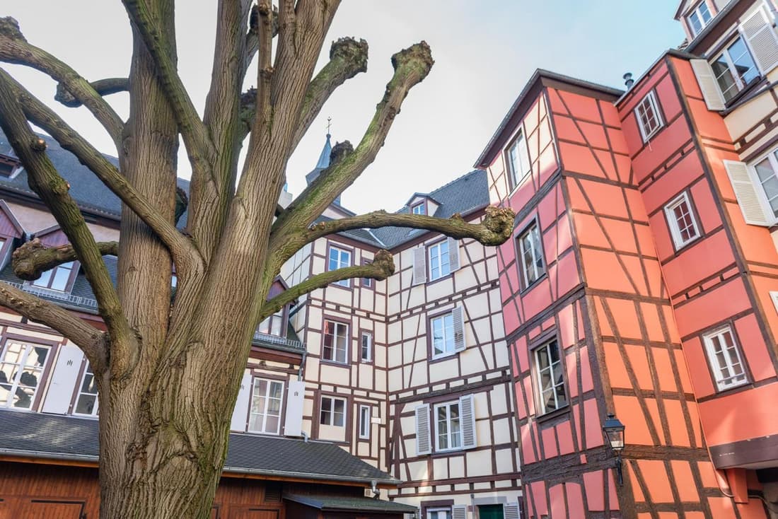 Strasbourg my LOVE - COZY - RBNB