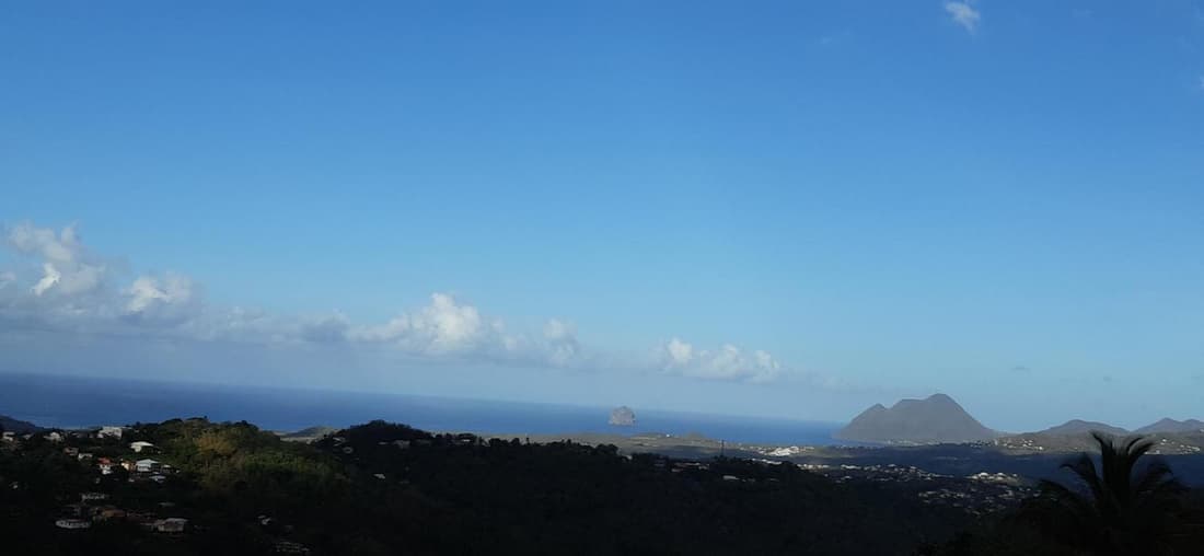 VILLA LINEDDY/ZINNIA