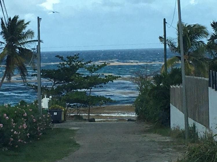 Kaz Madinina Mabouya