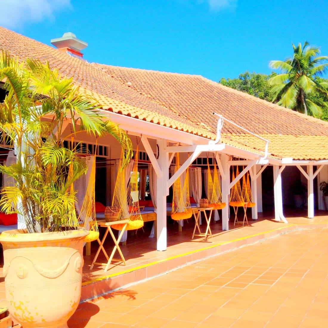 Color Garden - Studio Martinique