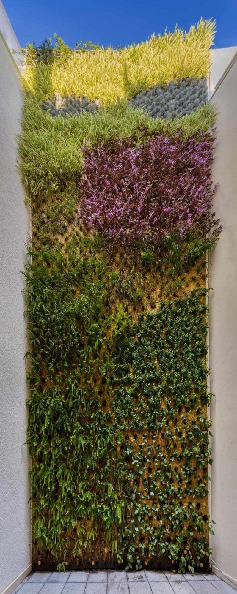 Nature by Raidom