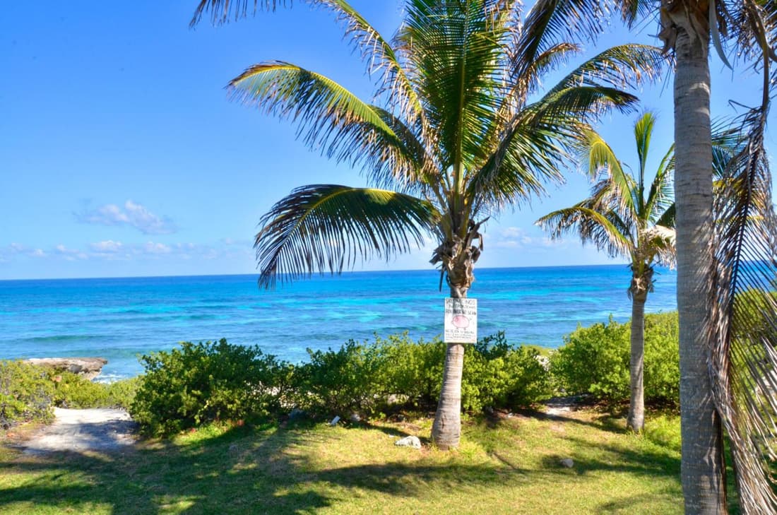 AR Ocean View Apartments