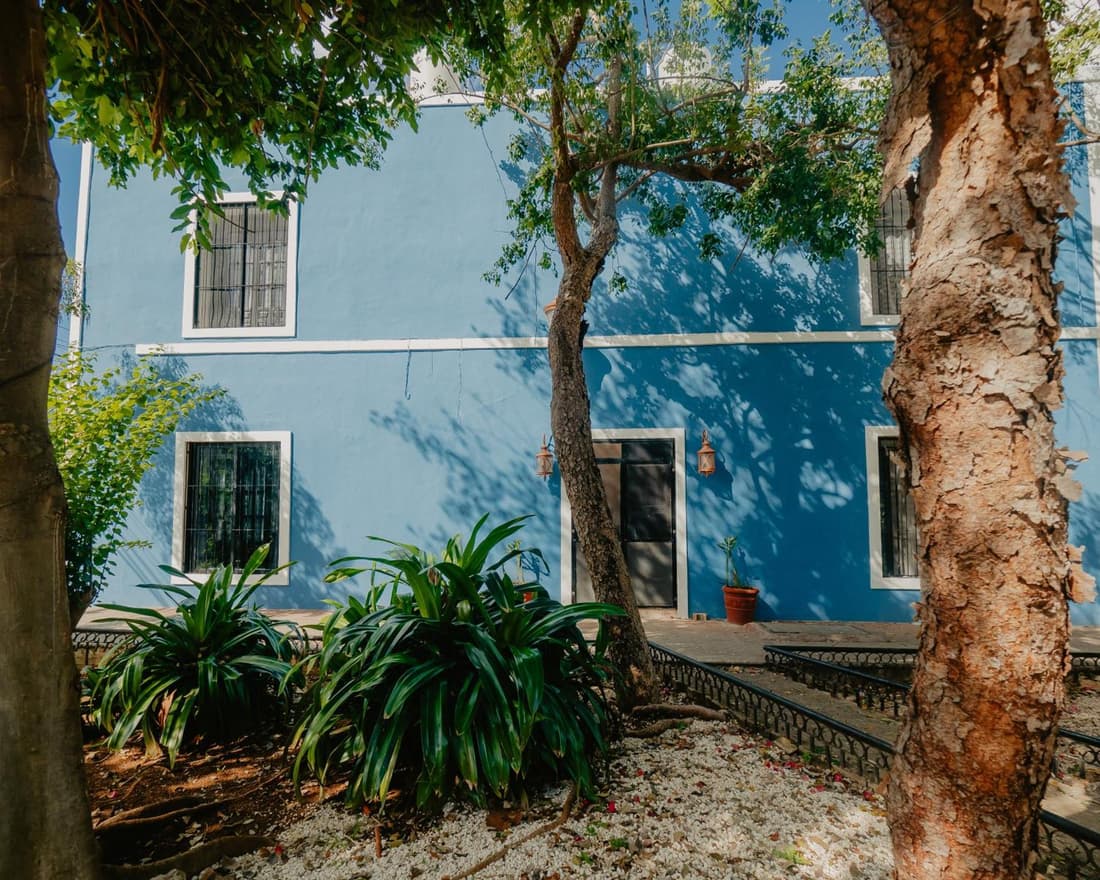 Nido Colibrí - Private Rooms and hostel Dorms in Remate de Paseo Montejo