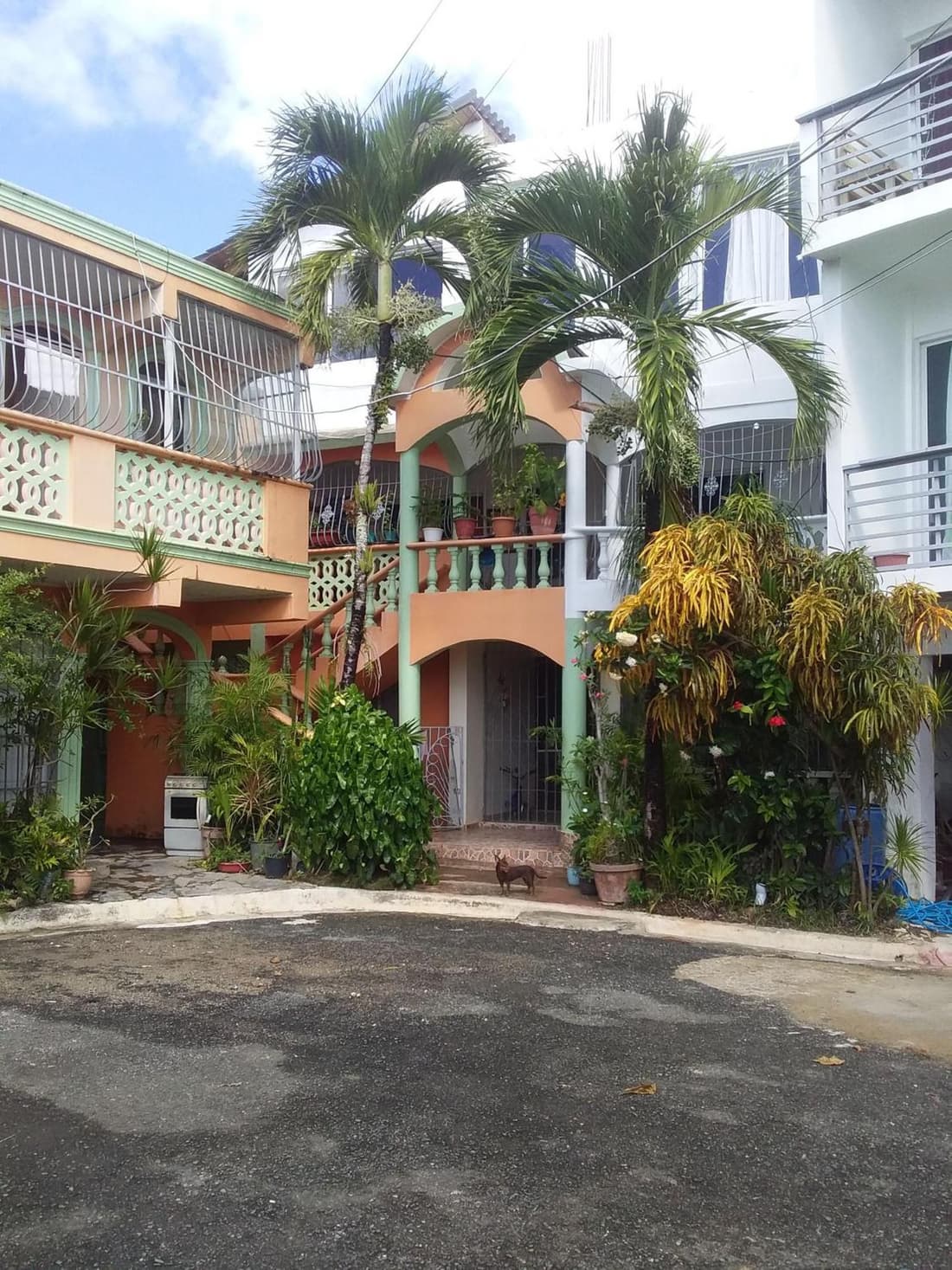 Best bed and breakfast in Samana Breakfast