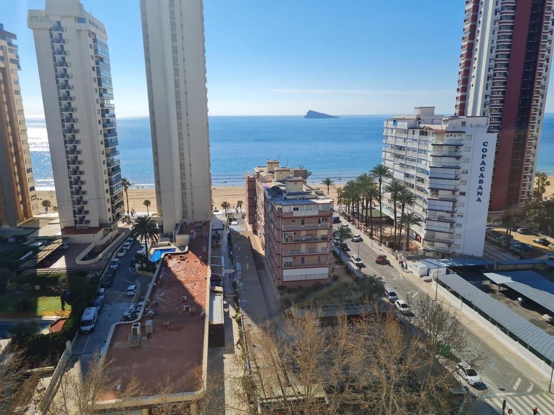 Hany apartment Ducado 11-C